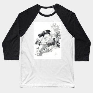 Jin jang Moufflons drawing Baseball T-Shirt